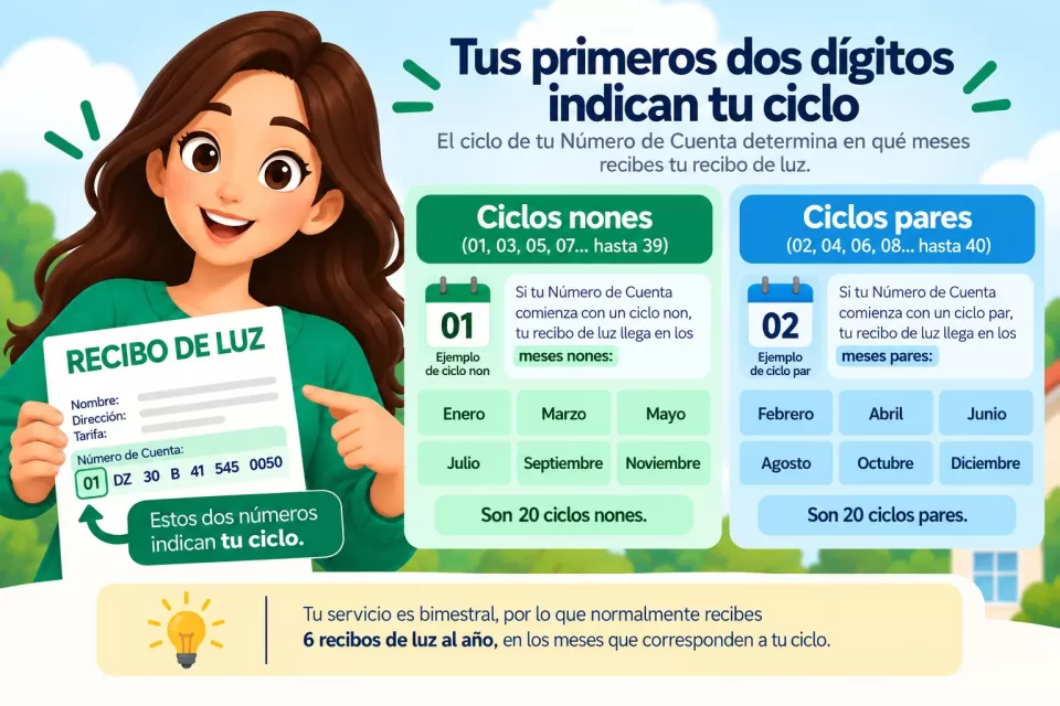 Infografía que compara los ciclos bimestrales nones y pares: los nones corresponden a enero, marzo, mayo, julio, septiembre y noviembre; los pares a febrero, abril, junio, agosto, octubre y diciembre.